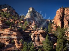 UTAH Zion National Park